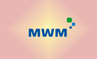 ✓ MWM 12285295 Свеча зажигания 